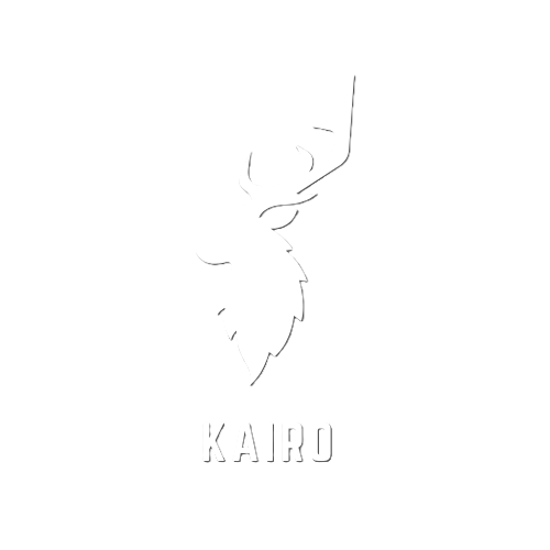 Kairo Store